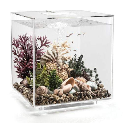 biOrb Cube 60L / 16 Gallon All-in-One Acrylic Aquarium Kit with LED Light