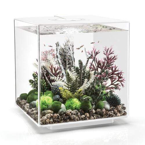 biOrb Cube 60L / 16 Gallon All-in-One Acrylic Aquarium Kit with LED Light